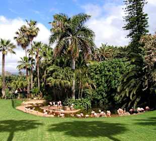 auch ohne die Shows ein schöner Park