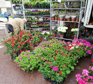 Eindrücke vom Wochenmarkt Nuoro