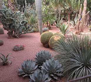 Eindrücke aus dem Jardin Majorelle Garten
