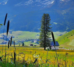 Wandern Rein in Taufers