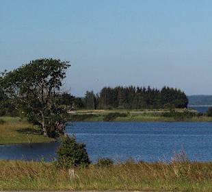 Blick in das Naturschutzgebiet