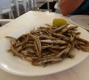 Restaurant Amigo Camilo