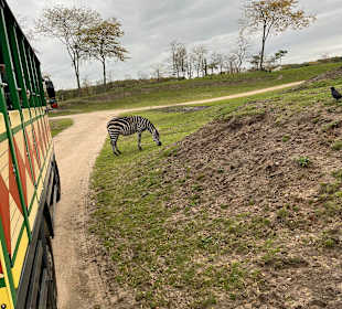 Wildlands Zoo in Emmen 