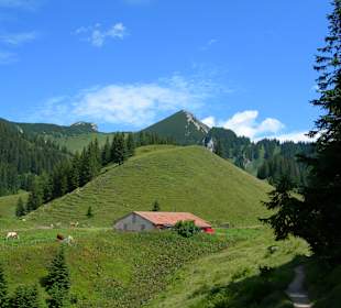 Sport & Freizeit