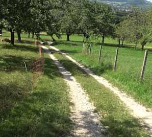 Hochgehnießen - Premiumspazierwanderweg