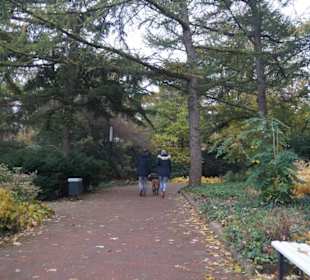 Parkanlage Planten un Blomen