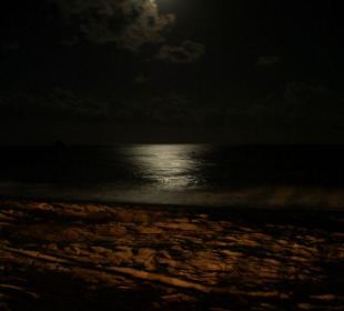 Moonlight