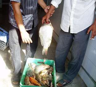 Fischereihafen Beni Khiar