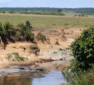 Was für eine landschaft