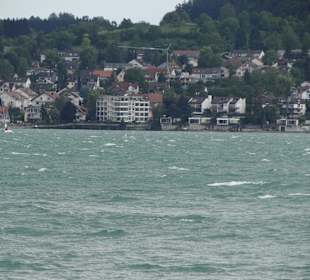 Blick auf Mainau