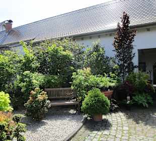 Peterhof-Pflanzen in Hanhofen