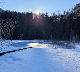 Schwansee