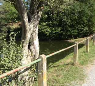 Neuer See