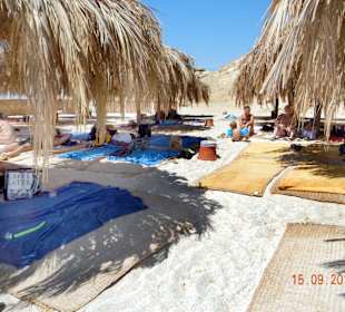 Überall schattige Plätze