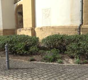 Pfarrkirche St. Alban Wallerstein