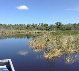 Fahrt durch die Everglades