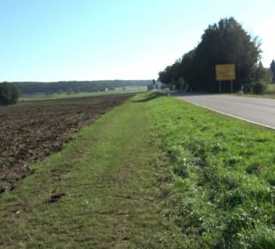 Kelten-Erlebnis-Pfad Erkenbrechtsweiler