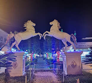 Stadtrundgang Alanya-Konakli