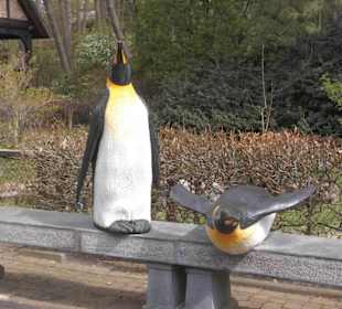 Weltvogelpark Walsrode