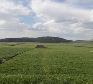 Wandern Tiflis / Tbilisi