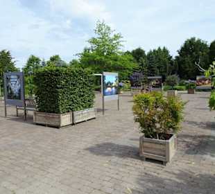 Eindrücke vom Rundgang durch den Park der Gärten