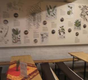 Spicy's Gewürzmuseum