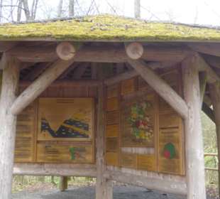 Wandereindrücke: von Handthal nach Ebrach