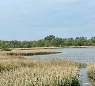 Wandern Neddesitz auf Rügen