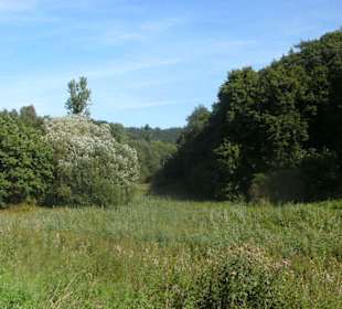 Blick auf die Wiesen