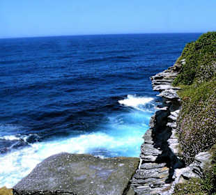 Bondi to Coogee Walk