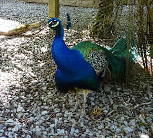 Wasserschloss Oppenweiler