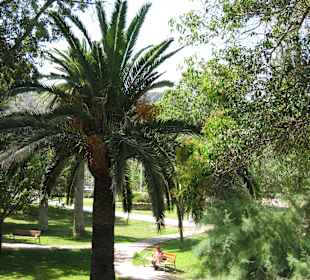 Wandern Puerto de Soller