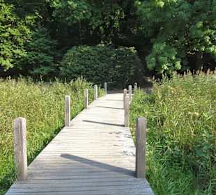 Rundgang durch den Harburger Stadtpark