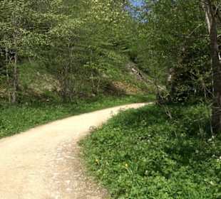 Premiumwanderweg Hochgehschätzt