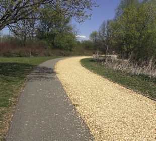 Sport- und Freizeitpark Markwasen