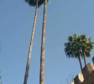 Die Stadtmauer von außen