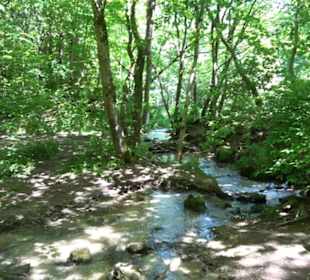 Wiesaztal Gönningen