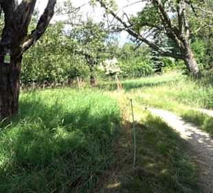 Hochgehnießen - Premiumspazierwanderweg