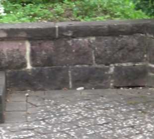 Evangelische Kirche Engeltal Hallwangen