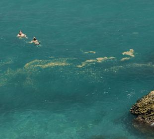 Schwimmen in Kot?