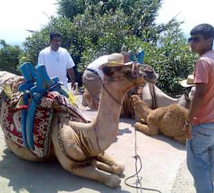 Ausflug nach Antalya mit Wasserfall