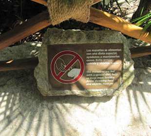 Xcaret
