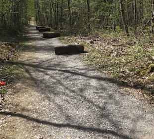 Waldsportpfad im Wasenwald