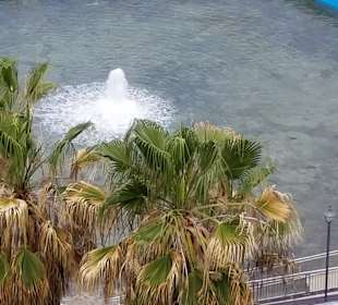 Strand Punta del Hidalgo
