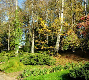 Park jesienią