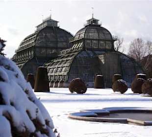 Schloss Schönbrunn - Palmenhaus