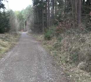 Rundwanderung durch den Rauhen Rammert Hemmendorf