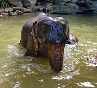 Khao Lak Land Discovery