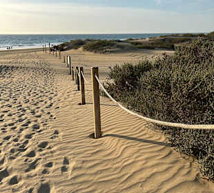 Dünen von Maspalomas