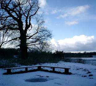 Grillstelle am Dankern See im Winter